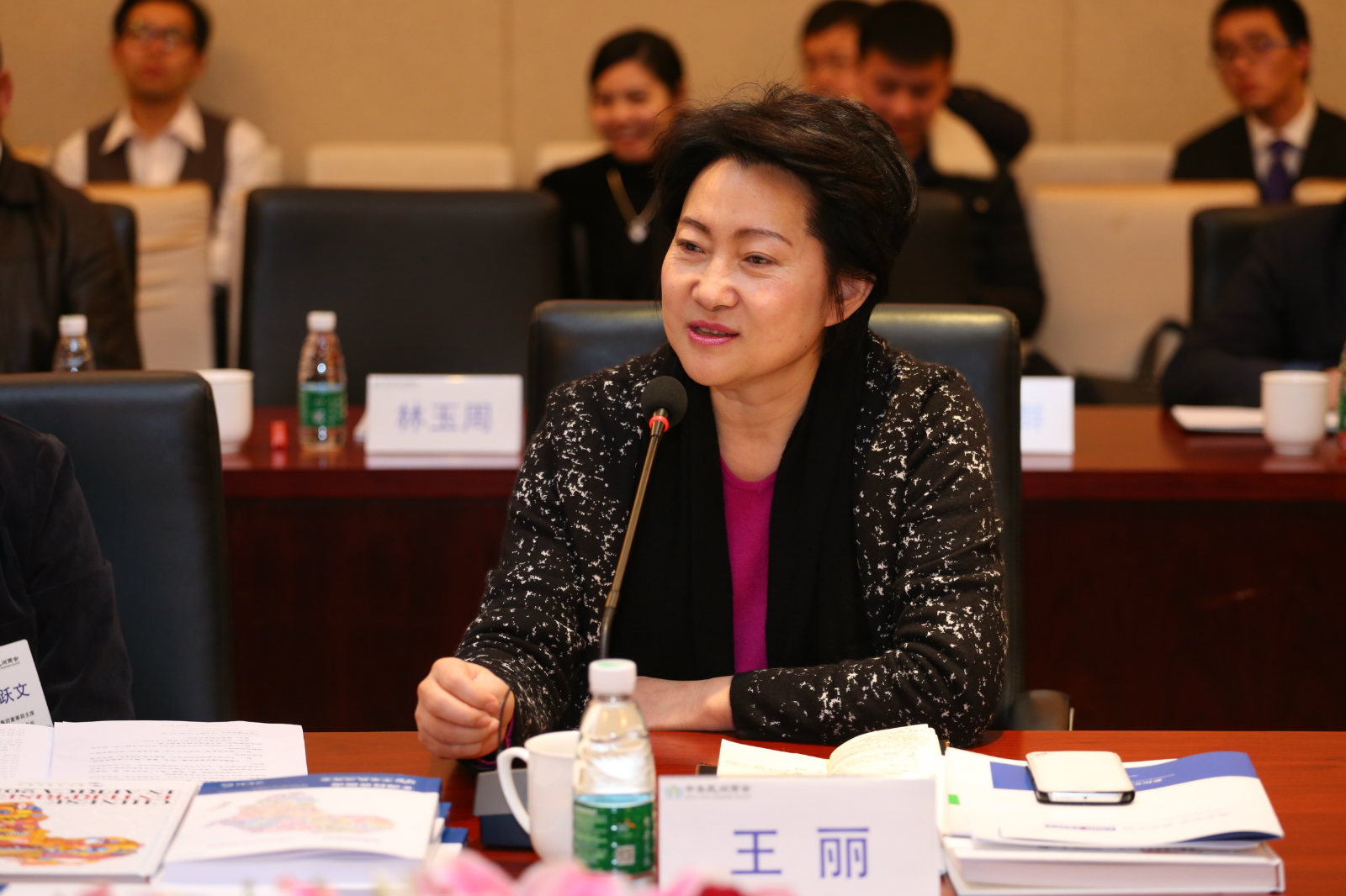 王丽:"一带一路"为中非商会带来的机会